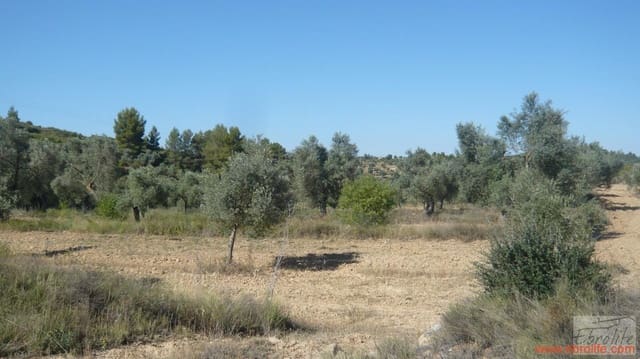 1 sovrum Finca/Hus på landet till salu i Calaceite - 48 000 € (Ref: 6209644)