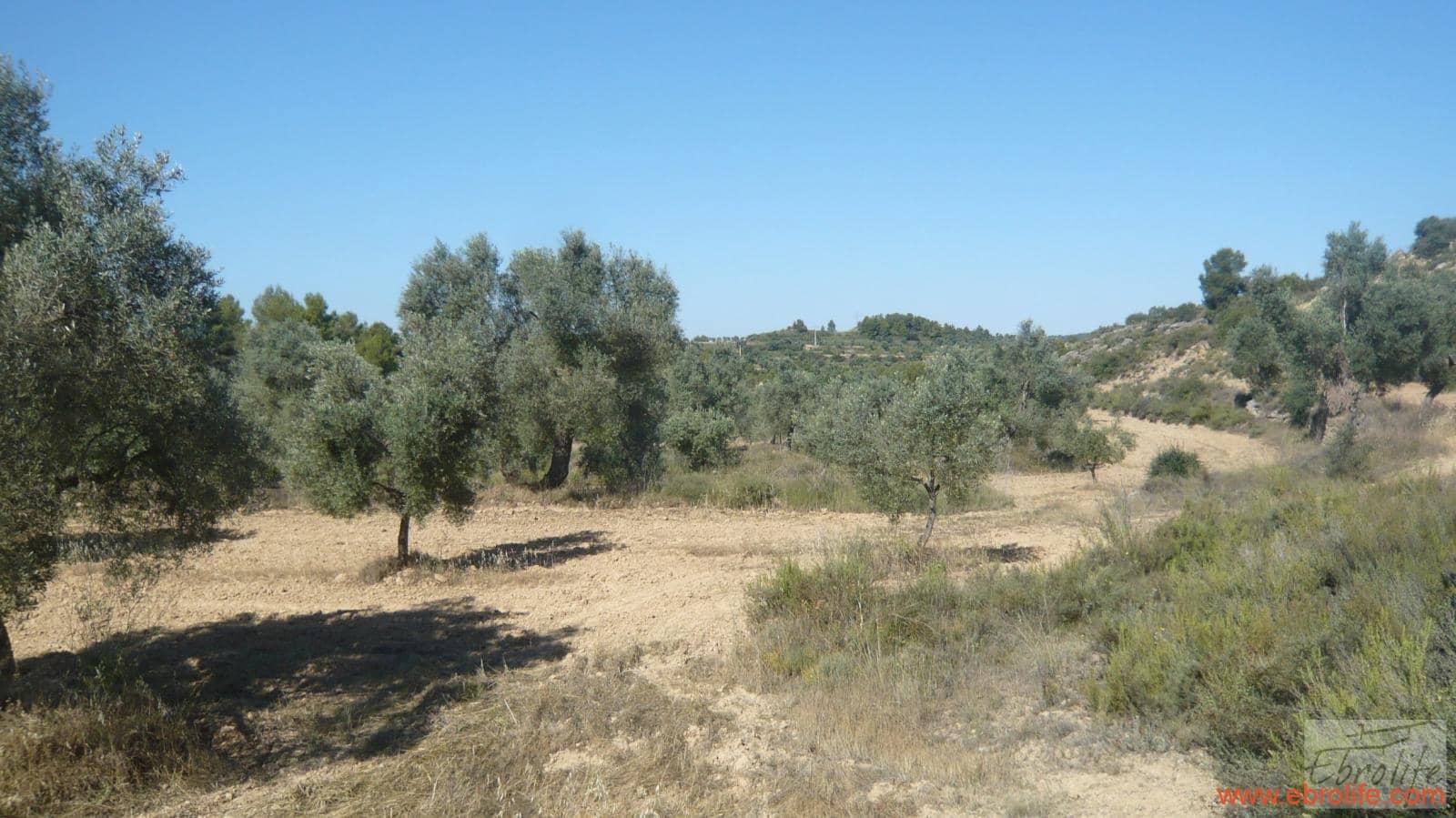 1 soveværelse Finca/Landehus til salg i Calaceite - € 48.000 (Ref: 6209644)