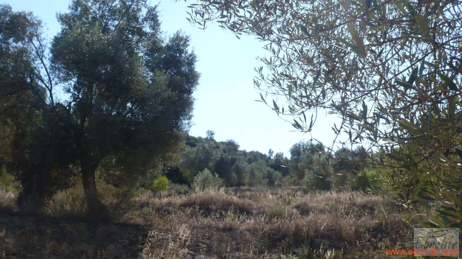 1 soveværelse Finca/Landehus til salg i Calaceite - € 48.000 (Ref: 6209644)