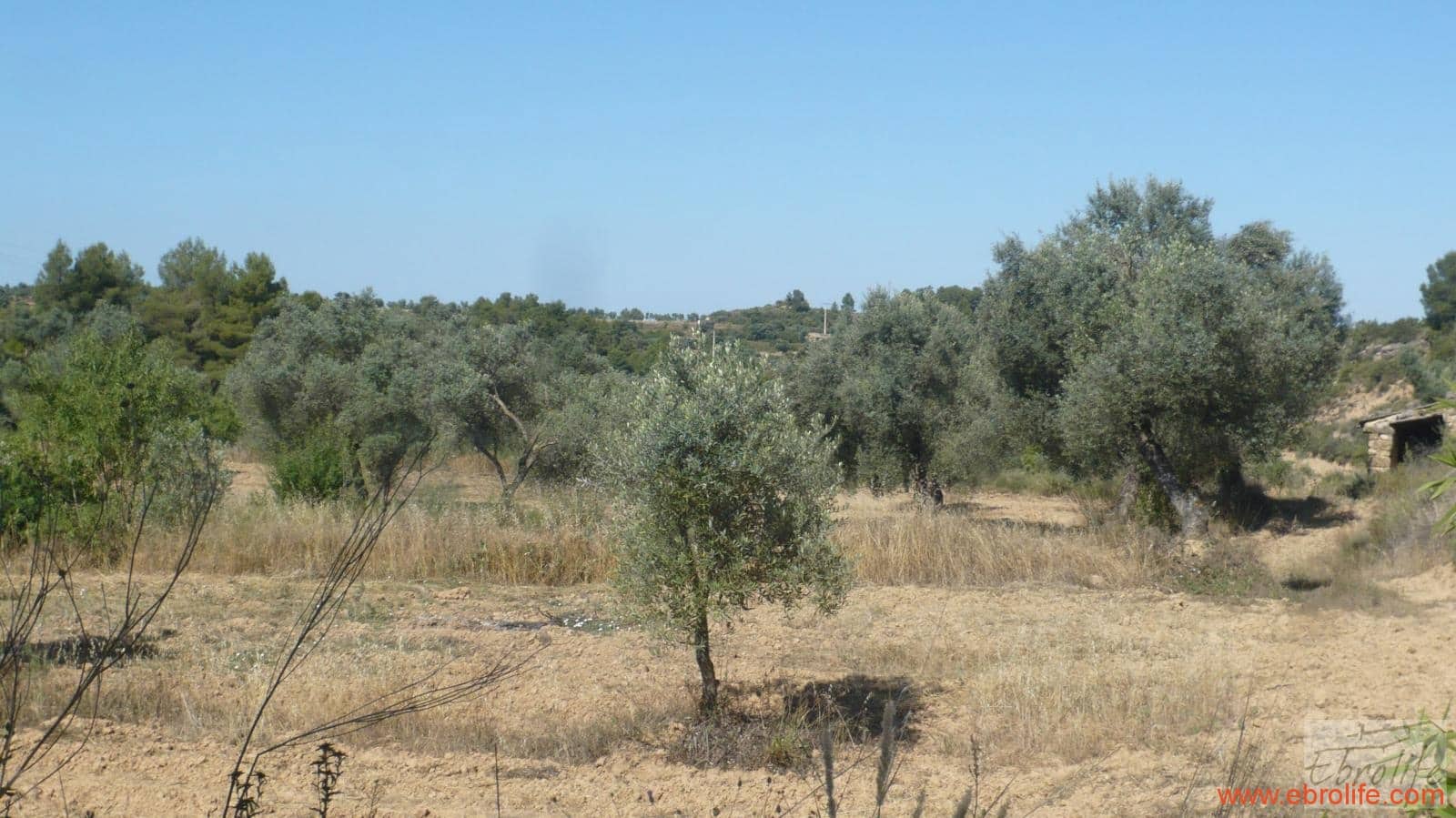 1 soveværelse Finca/Landehus til salg i Calaceite - € 48.000 (Ref: 6209644)