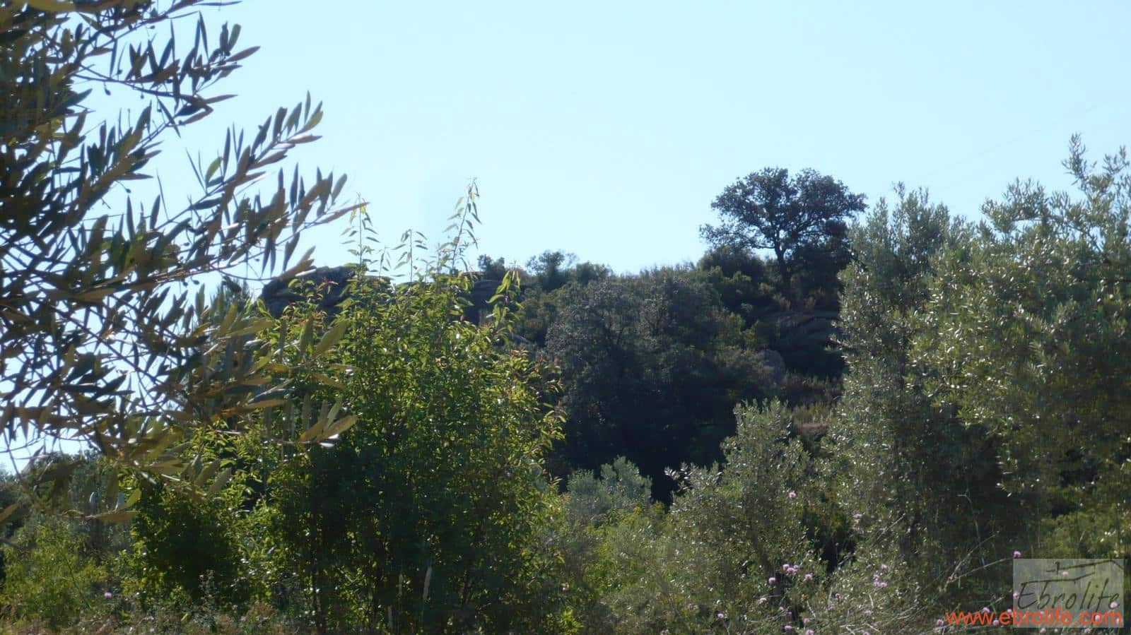 1 soveværelse Finca/Landehus til salg i Calaceite - € 48.000 (Ref: 6209644)