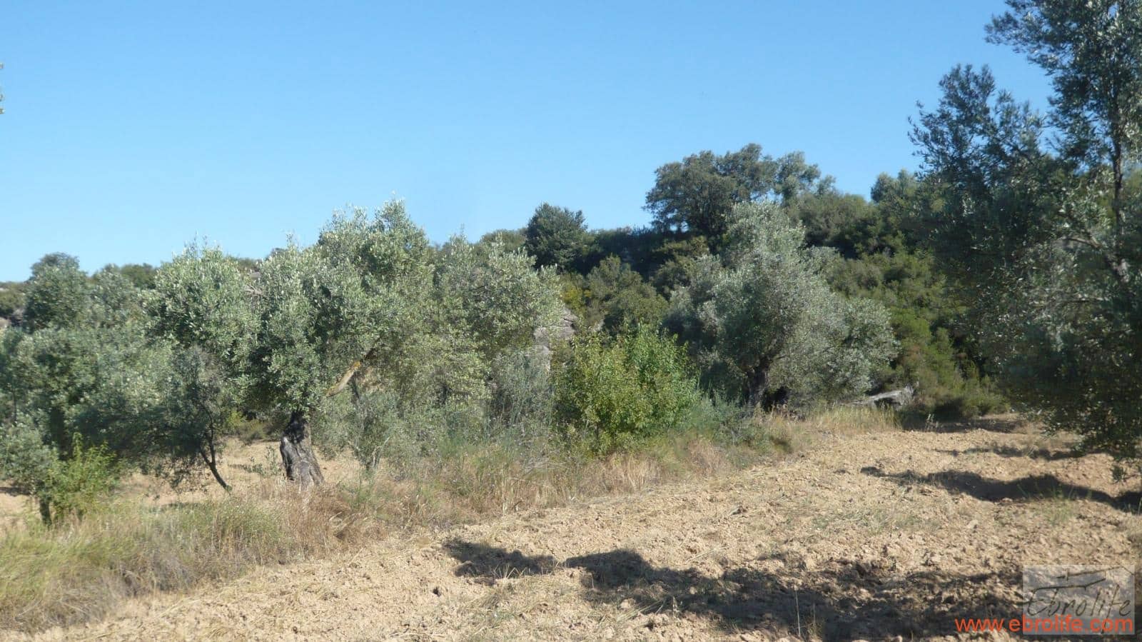 1 soveværelse Finca/Landehus til salg i Calaceite - € 48.000 (Ref: 6209644)