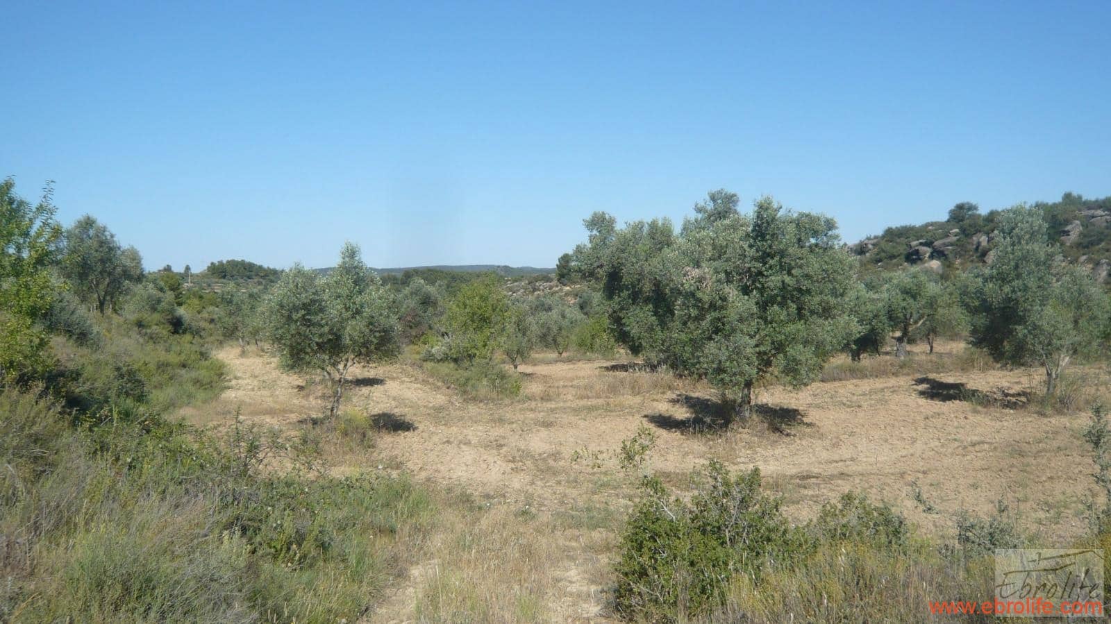 1 soveværelse Finca/Landehus til salg i Calaceite - € 48.000 (Ref: 6209644)