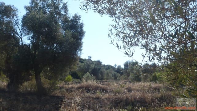 1 sovrum Finca/Hus på landet till salu i Calaceite - 48 000 € (Ref: 6209644)