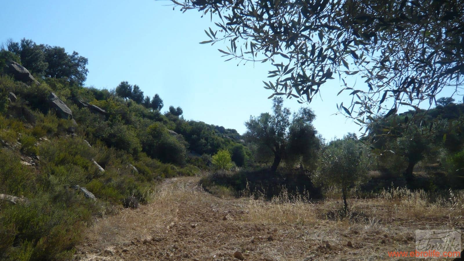 1 soveværelse Finca/Landehus til salg i Calaceite - € 48.000 (Ref: 6209644)