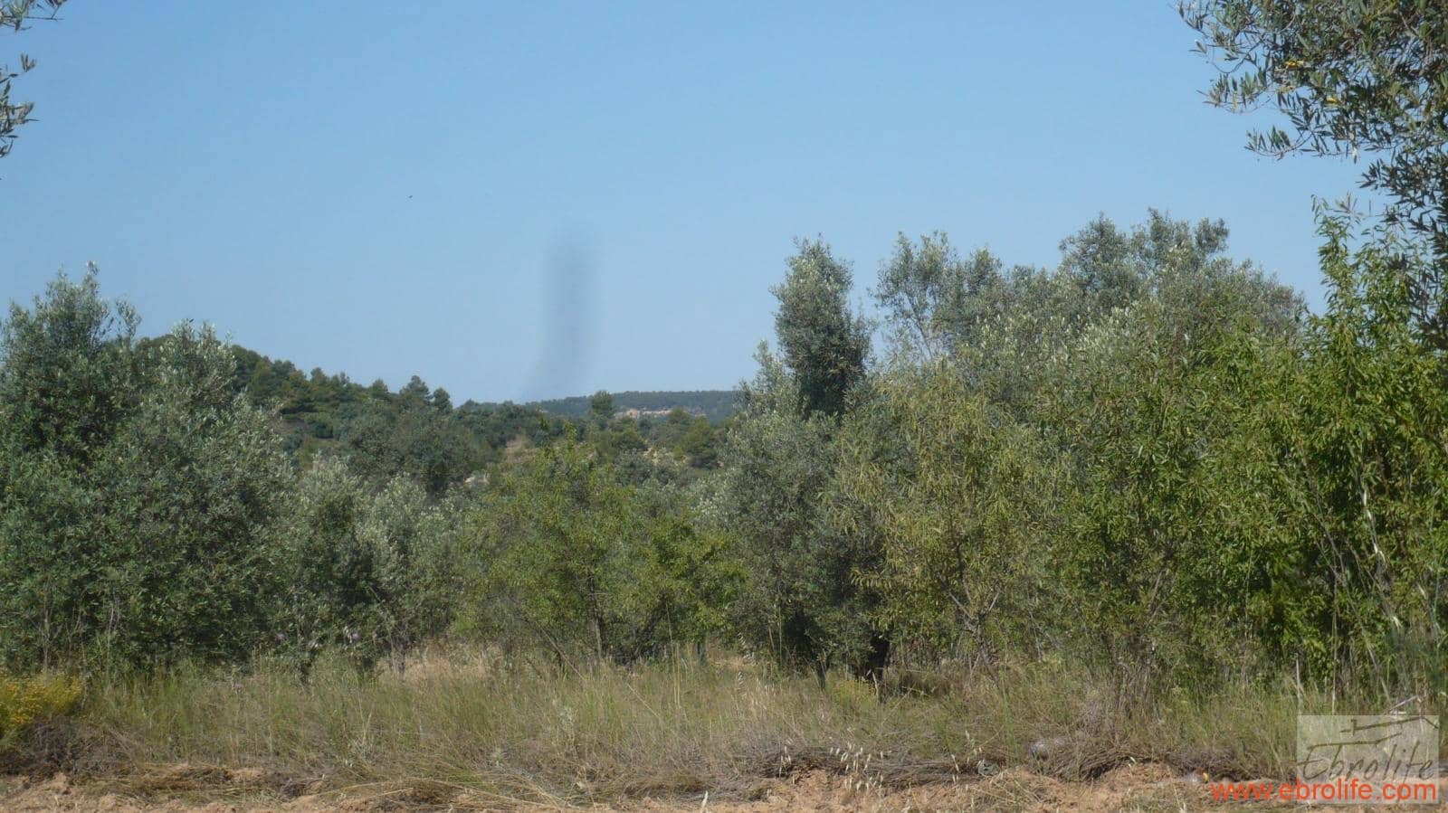 1 soveværelse Finca/Landehus til salg i Calaceite - € 48.000 (Ref: 6209644)