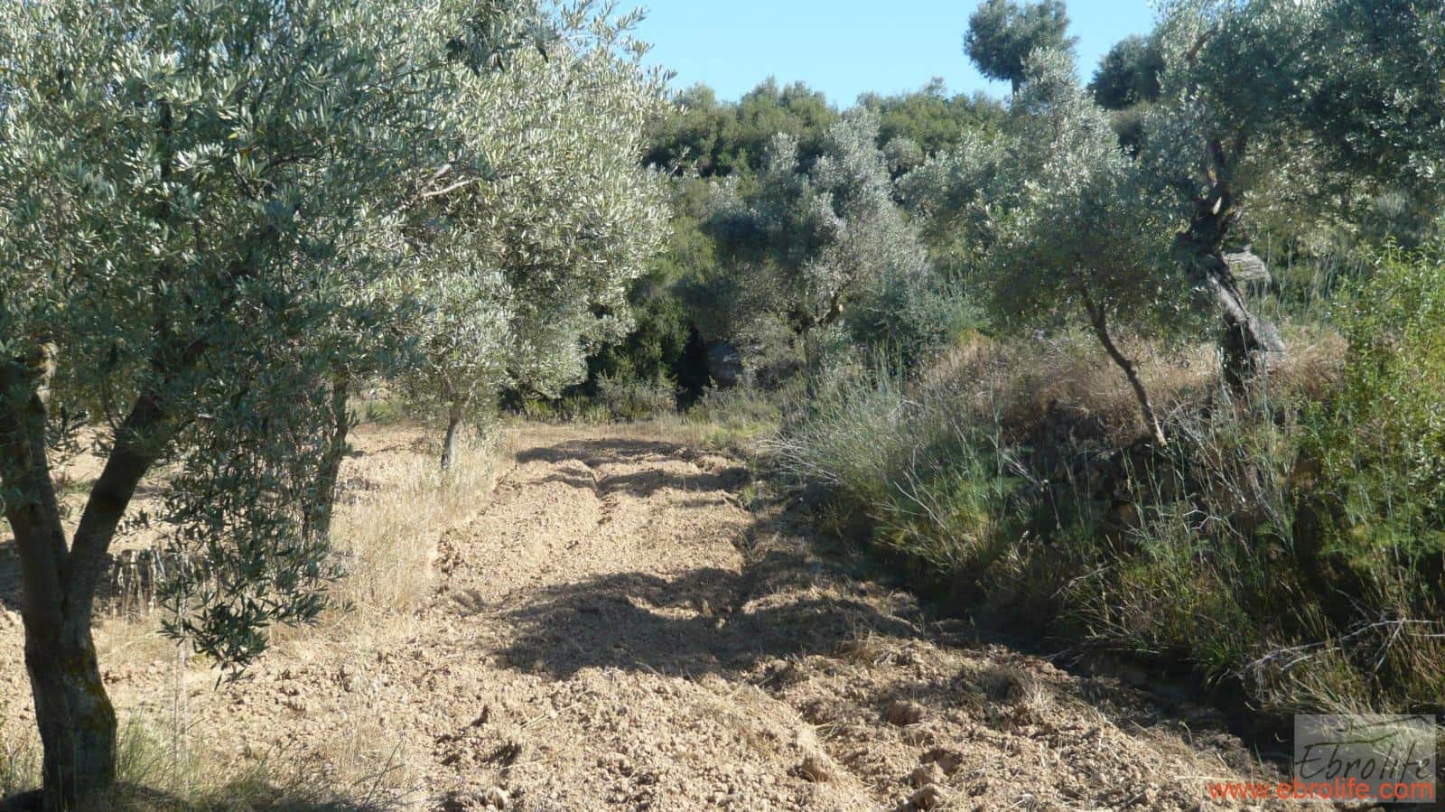 1 soveværelse Finca/Landehus til salg i Calaceite - € 48.000 (Ref: 6209644)