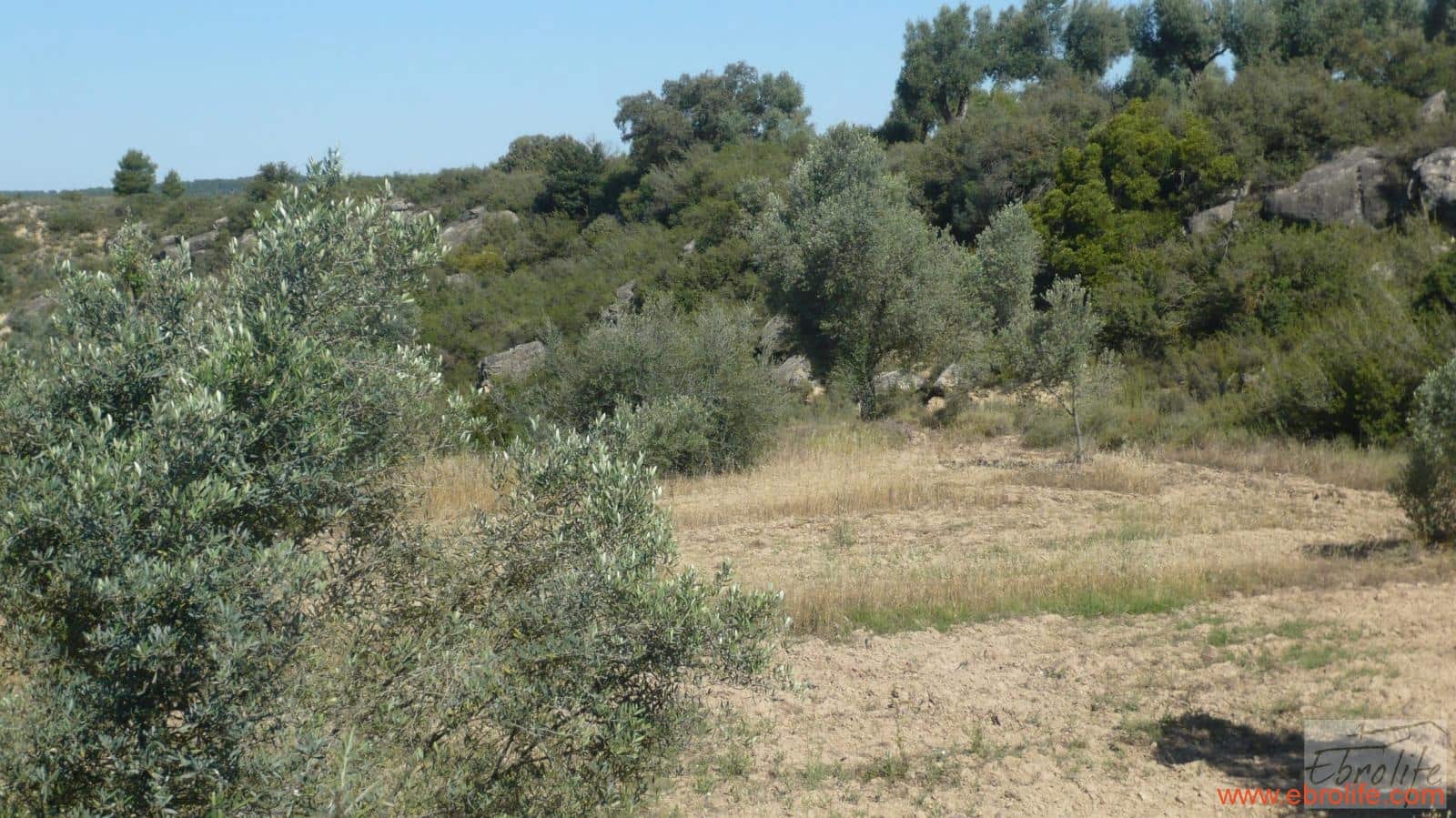 1 soveværelse Finca/Landehus til salg i Calaceite - € 48.000 (Ref: 6209644)