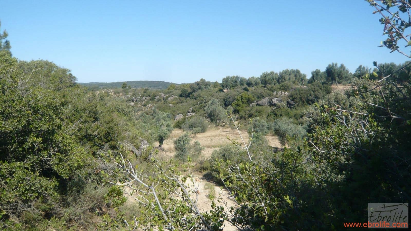 1 soveværelse Finca/Landehus til salg i Calaceite - € 48.000 (Ref: 6209644)