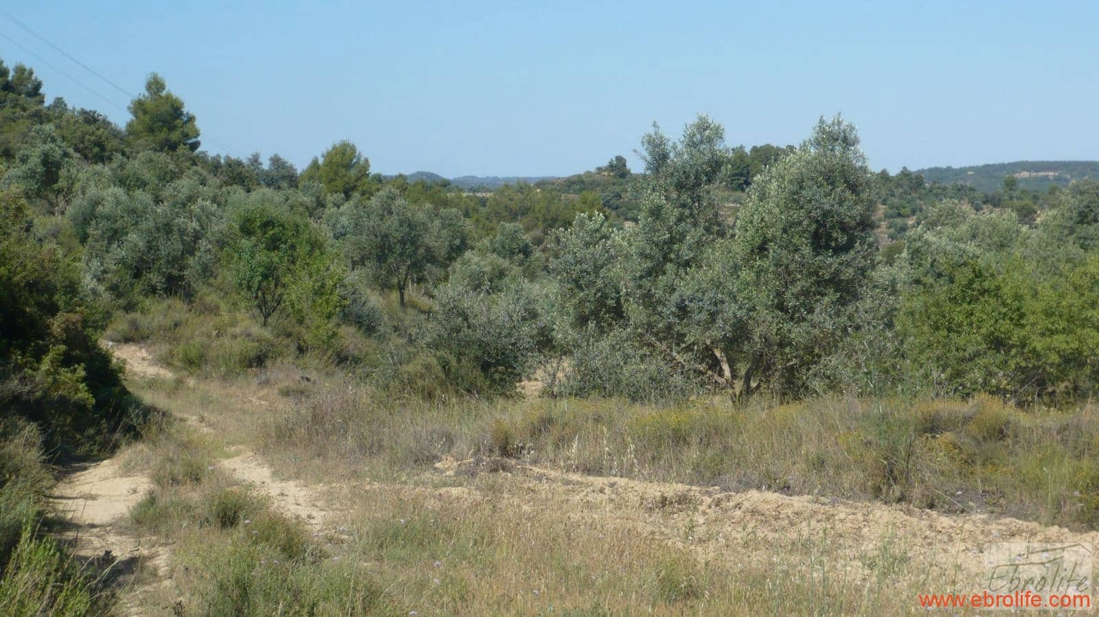 1 soveværelse Finca/Landehus til salg i Calaceite - € 48.000 (Ref: 6209644)