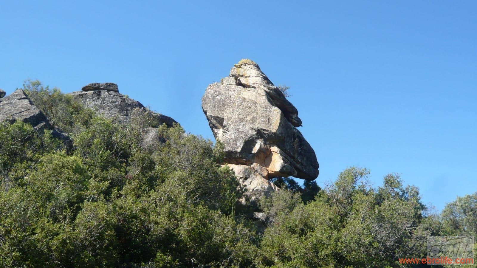 1 soveværelse Finca/Landehus til salg i Calaceite - € 48.000 (Ref: 6209644)