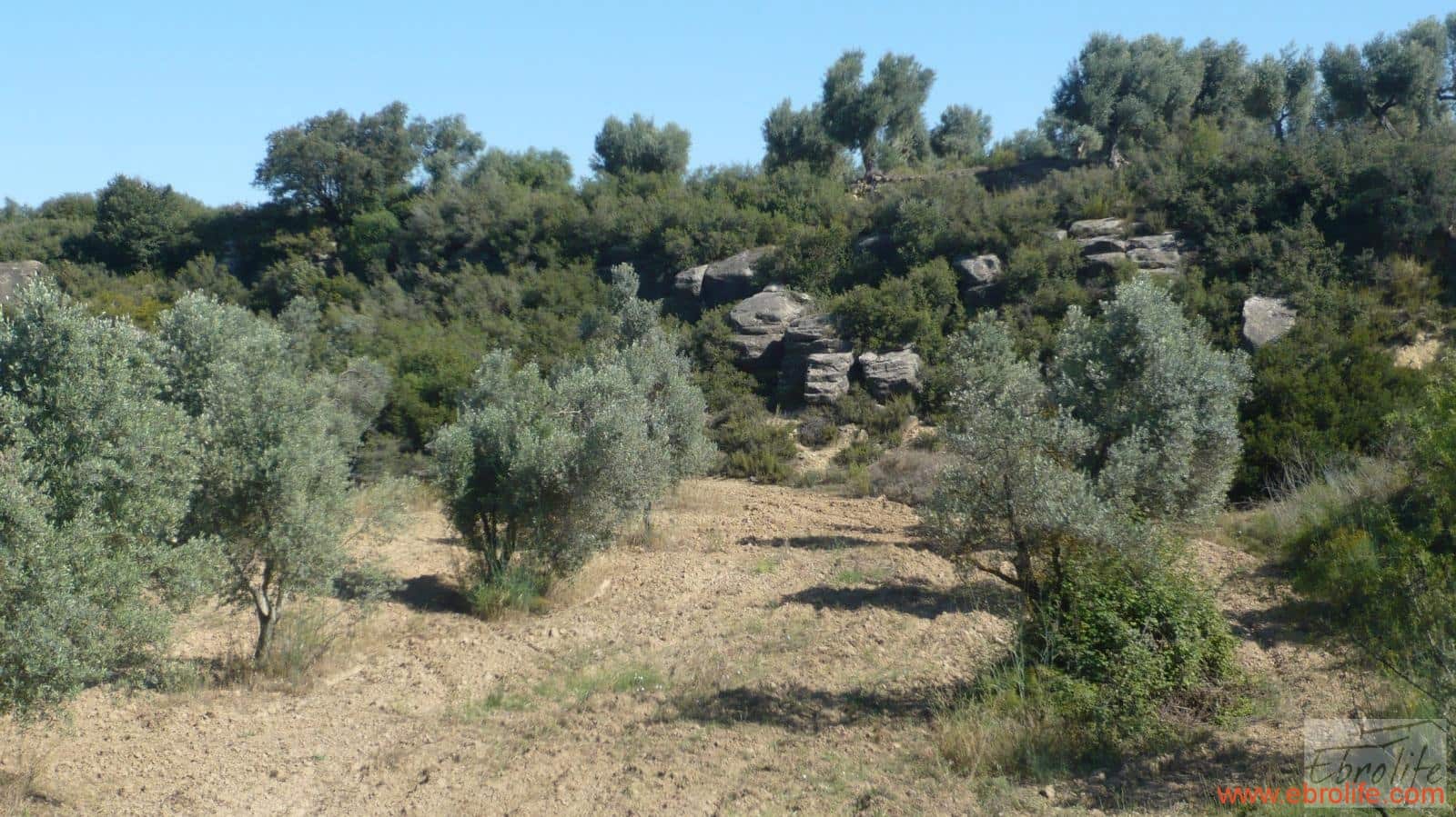 1 soveværelse Finca/Landehus til salg i Calaceite - € 48.000 (Ref: 6209644)