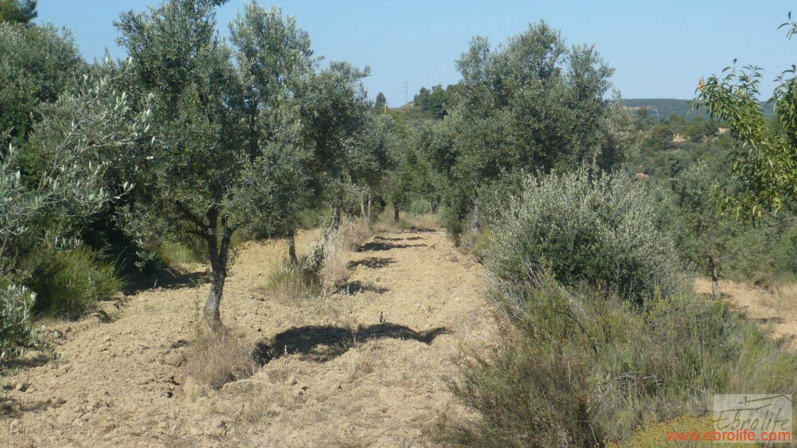 1 soveværelse Finca/Landehus til salg i Calaceite - € 48.000 (Ref: 6209644)