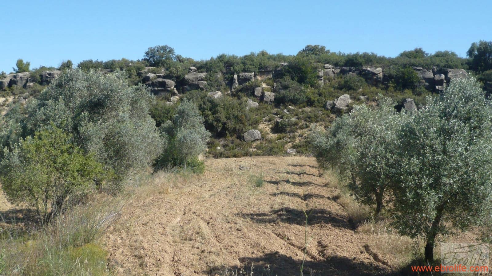 1 soveværelse Finca/Landehus til salg i Calaceite - € 48.000 (Ref: 6209644)