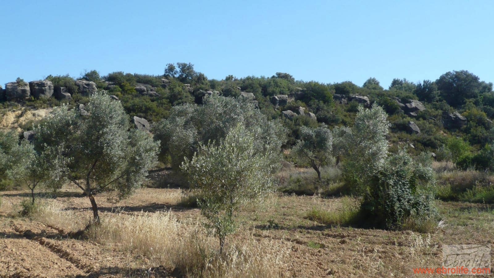 1 soveværelse Finca/Landehus til salg i Calaceite - € 48.000 (Ref: 6209644)