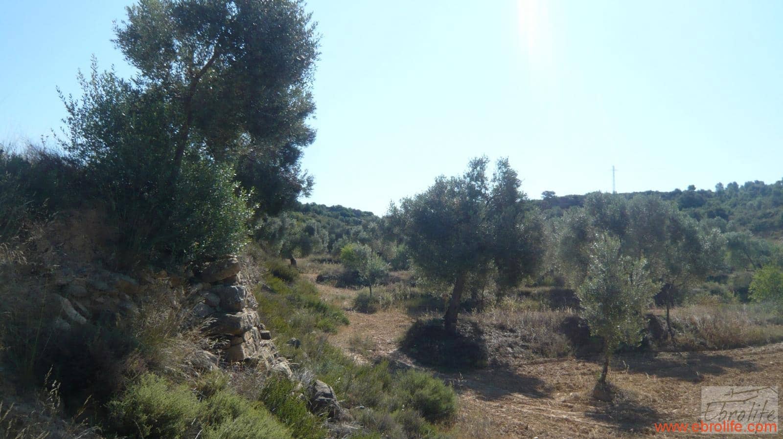 1 soveværelse Finca/Landehus til salg i Calaceite - € 48.000 (Ref: 6209644)