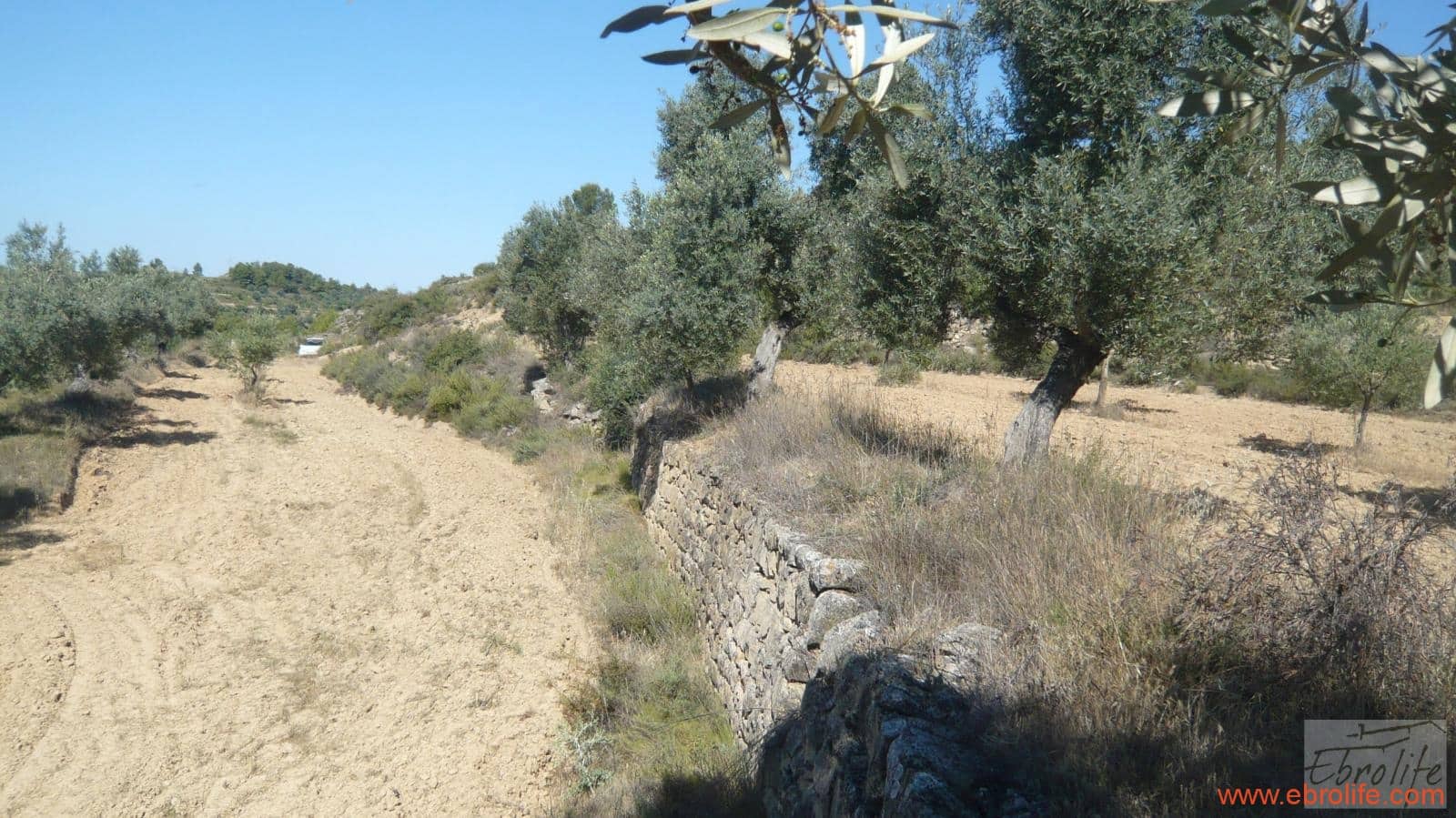 1 soveværelse Finca/Landehus til salg i Calaceite - € 48.000 (Ref: 6209644)