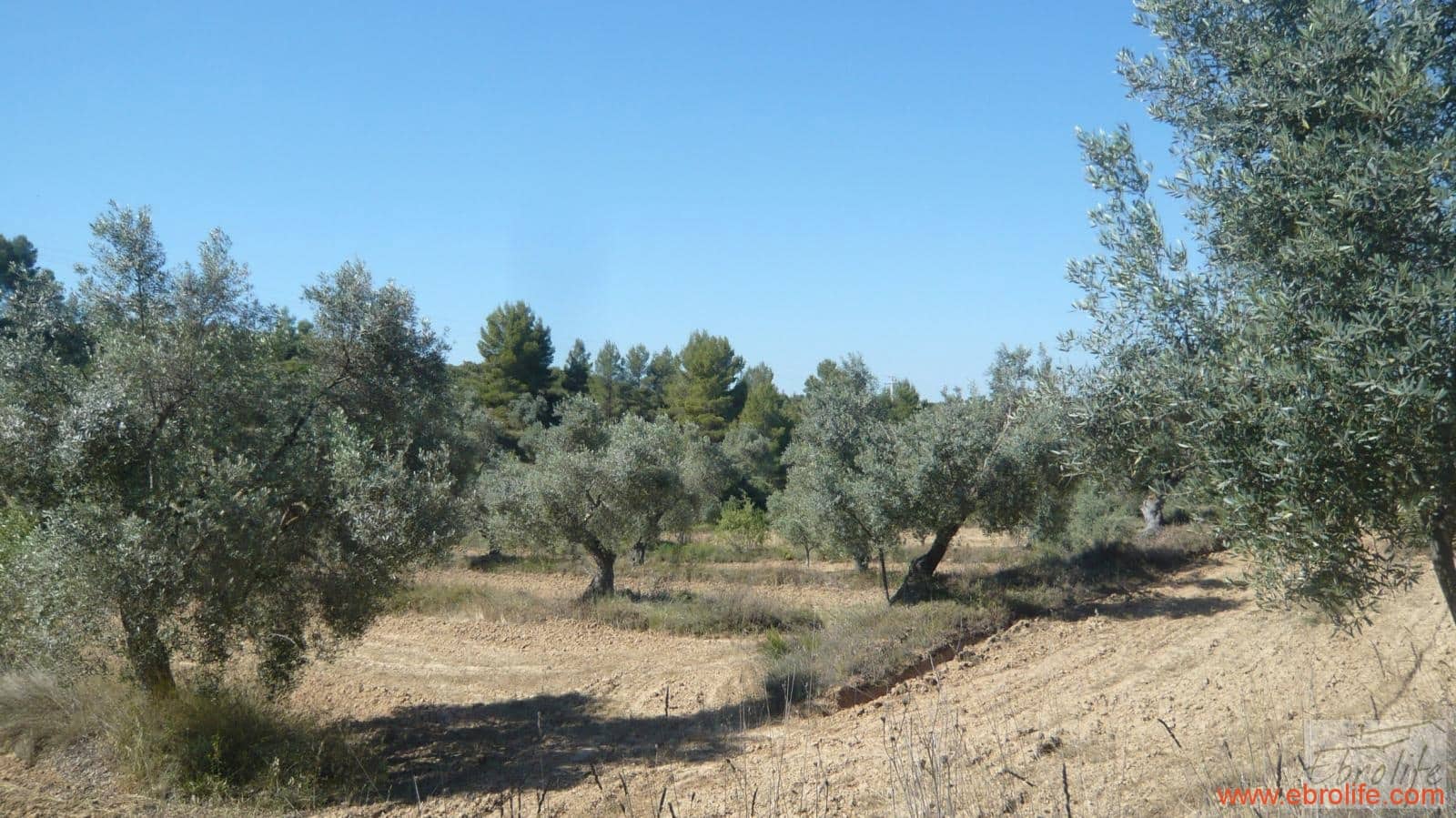 1 soveværelse Finca/Landehus til salg i Calaceite - € 48.000 (Ref: 6209644)