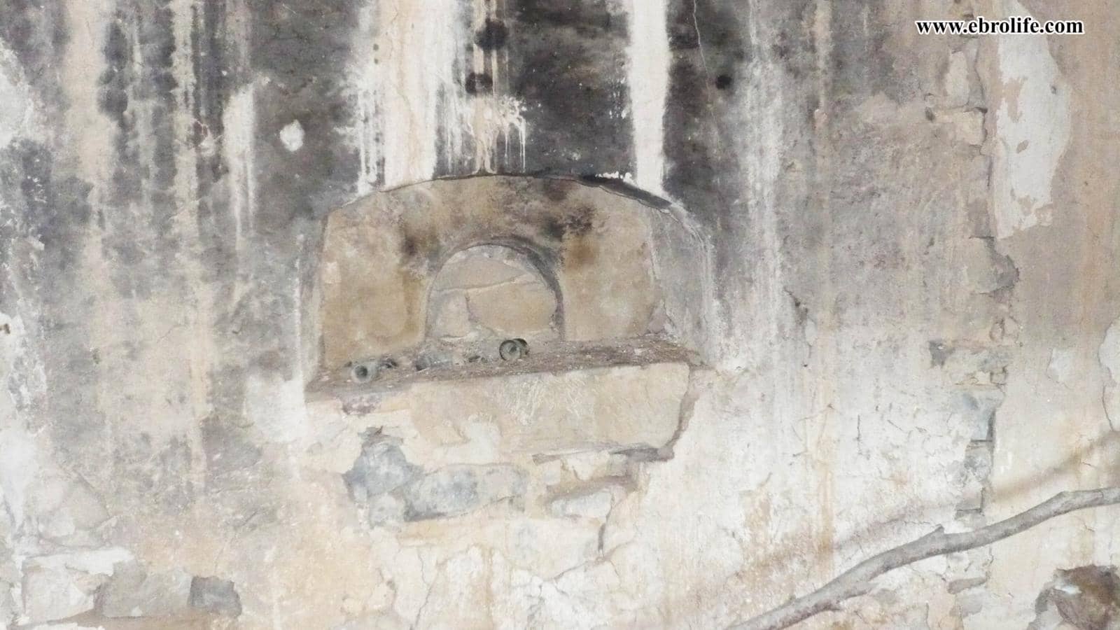 1 soveværelse Finca/Landehus til salg i Vilalba dels Arcs - € 66.000 (Ref: 6328111)