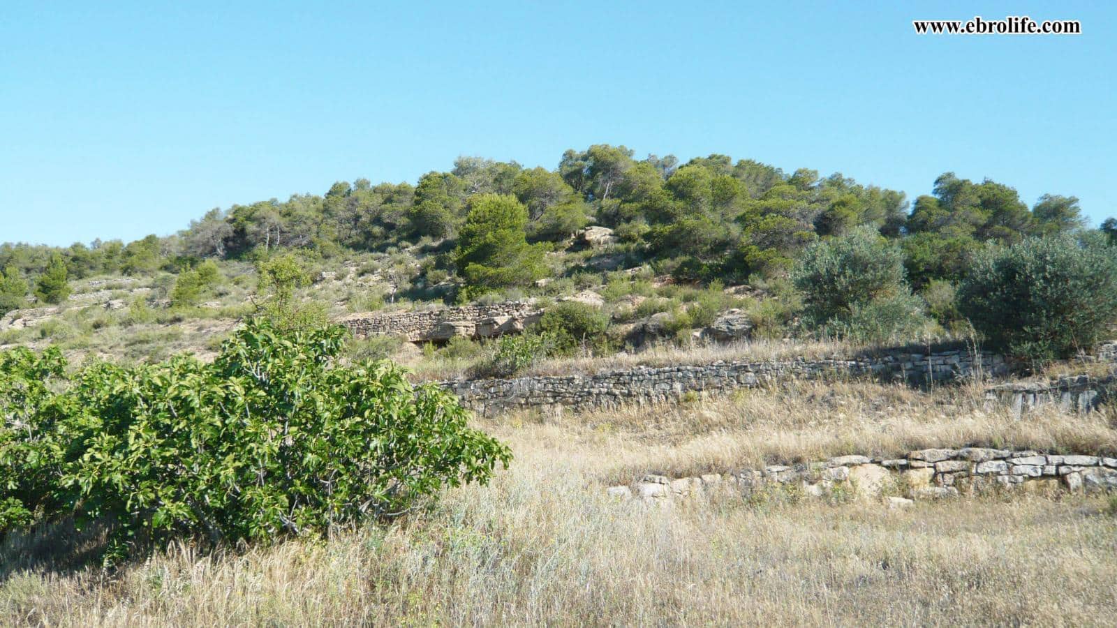 1 soveværelse Finca/Landehus til salg i Vilalba dels Arcs - € 66.000 (Ref: 6328111)
