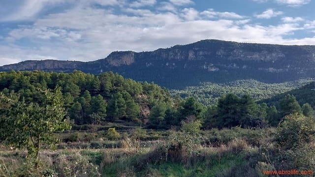 1 slaapkamer Finca/Landhuis te koop in Valderrobres - € 14.000 (Ref: 6501096)