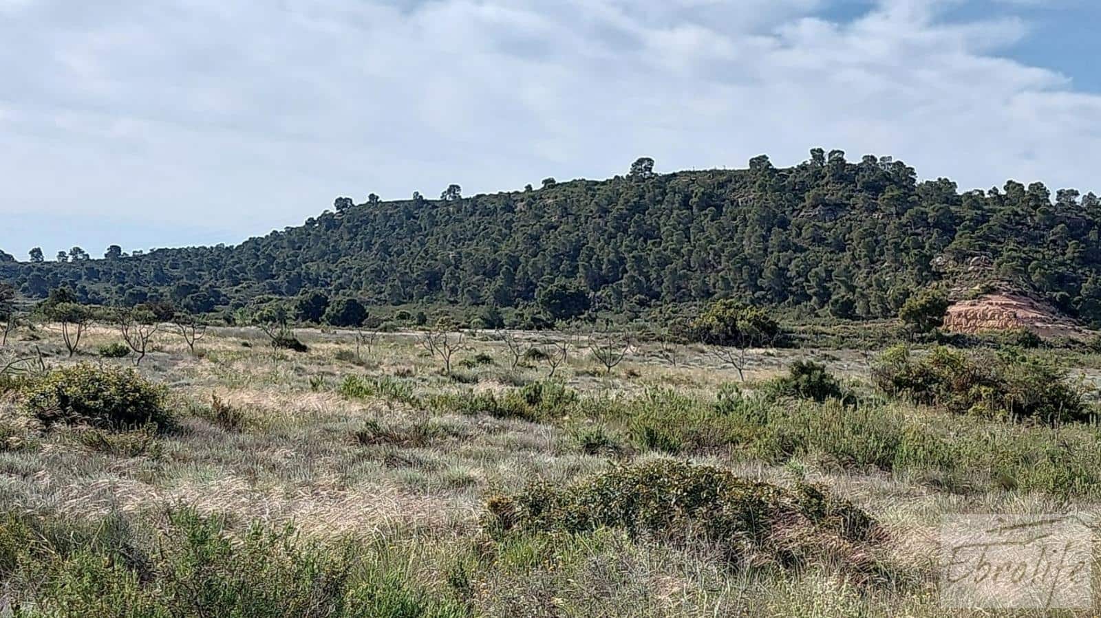 1 soverom Finca/Herregård til salgs i Caspe - € 46 000 (Ref: 6830413)