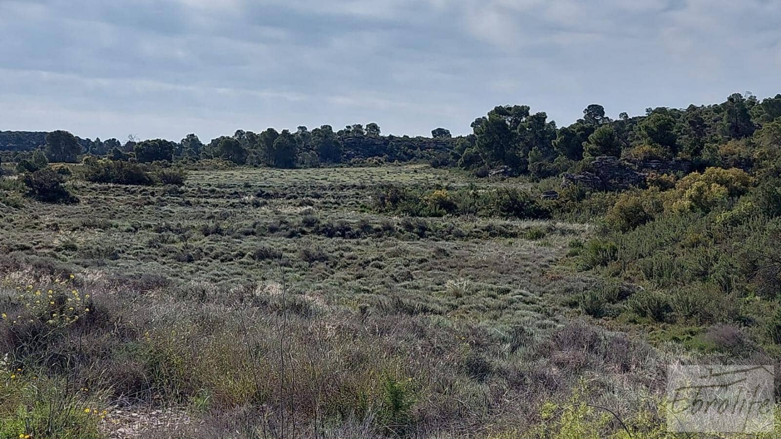 1 soverom Finca/Herregård til salgs i Caspe - € 46 000 (Ref: 6830413)