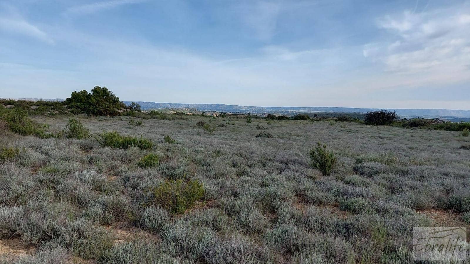 1 soverom Finca/Herregård til salgs i Caspe - € 46 000 (Ref: 6830413)