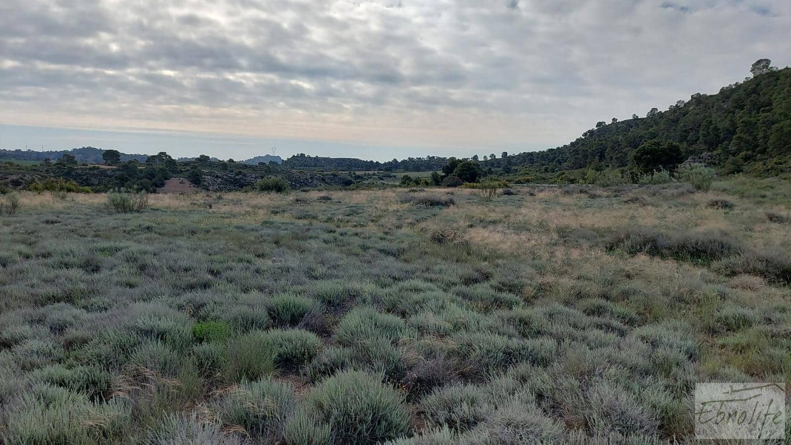 1 soverom Finca/Herregård til salgs i Caspe - € 46 000 (Ref: 6830413)