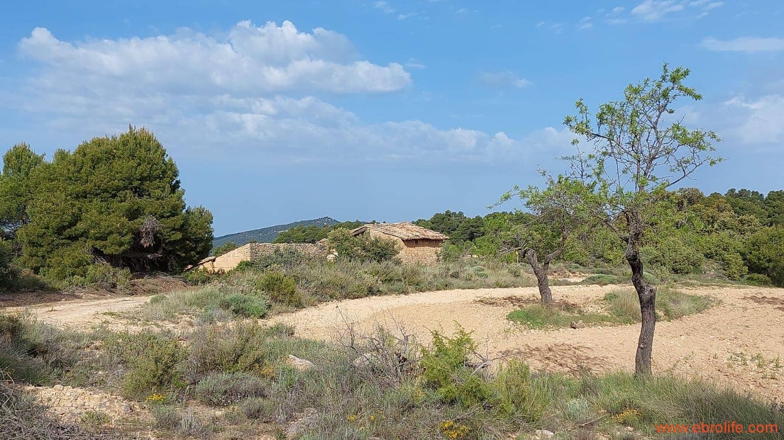 1 slaapkamer Finca/Landhuis te koop in Fuentespalda - € 149.000 (Ref: 6912575)