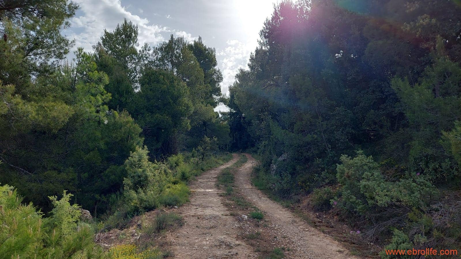 1 slaapkamer Finca/Landhuis te koop in Fuentespalda - € 149.000 (Ref: 6912575)