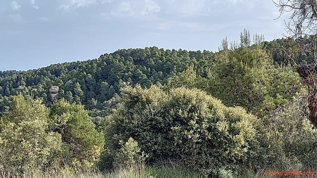 1 slaapkamer Finca/Landhuis te koop in Fuentespalda - € 149.000 (Ref: 6912575)