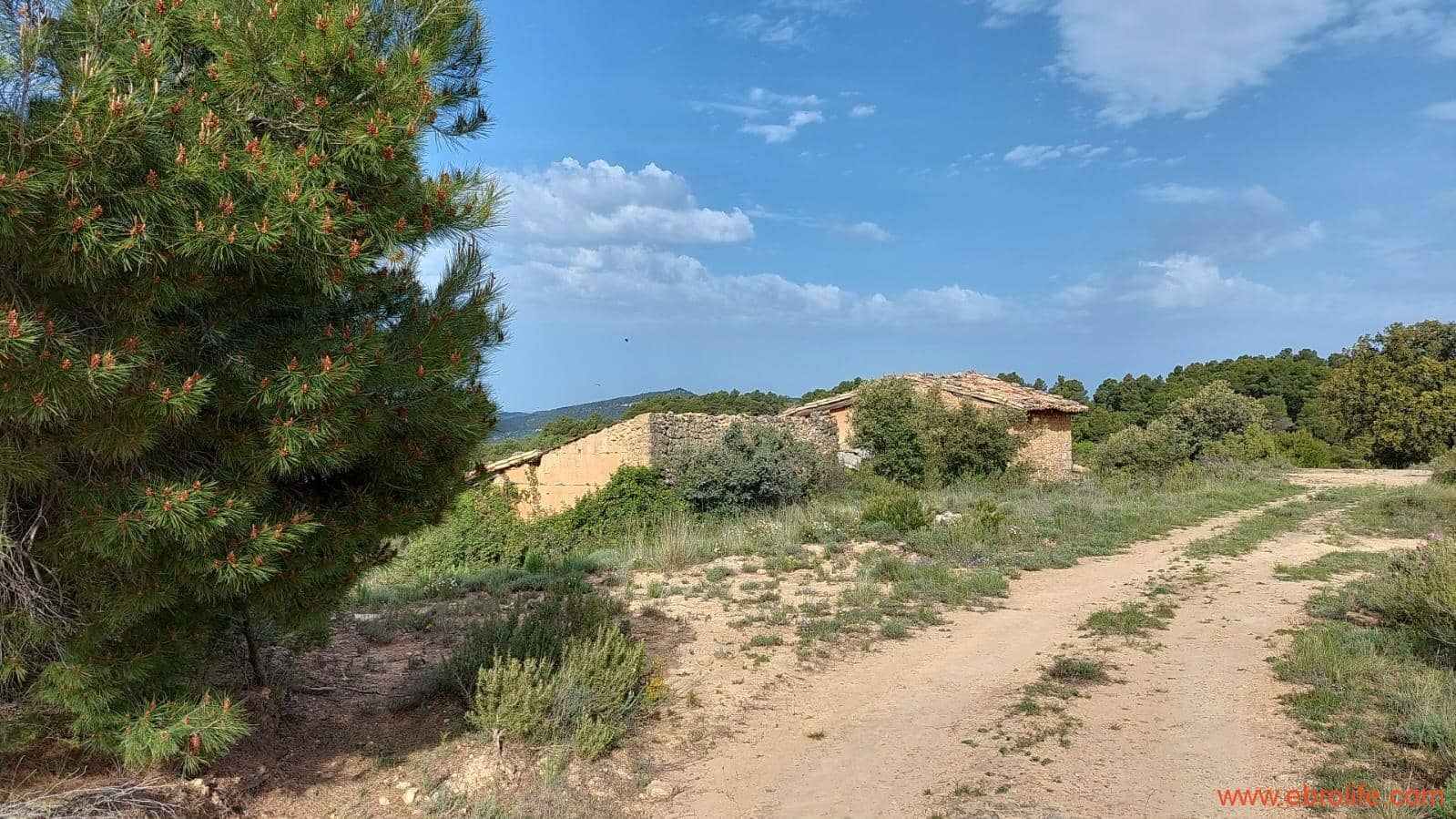 1 slaapkamer Finca/Landhuis te koop in Fuentespalda - € 149.000 (Ref: 6912575)