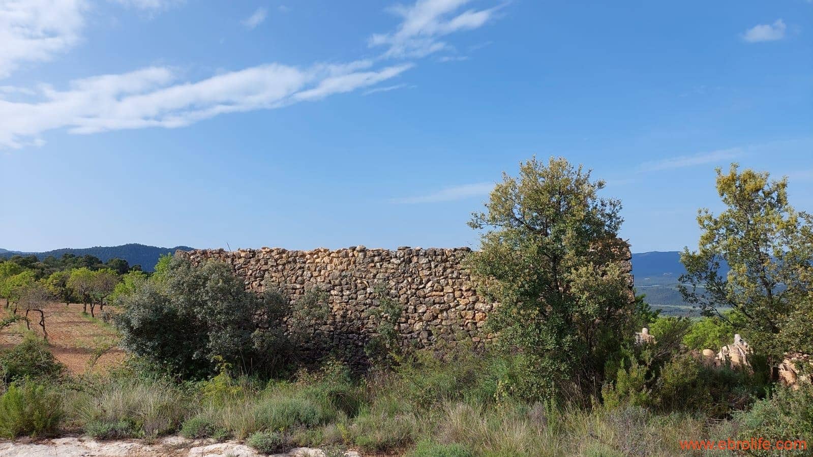 1 slaapkamer Finca/Landhuis te koop in Fuentespalda - € 149.000 (Ref: 6912575)