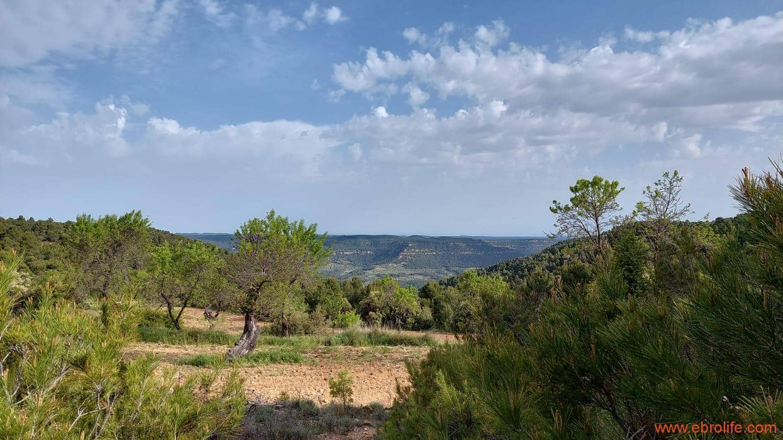 1 slaapkamer Finca/Landhuis te koop in Fuentespalda - € 149.000 (Ref: 6912575)