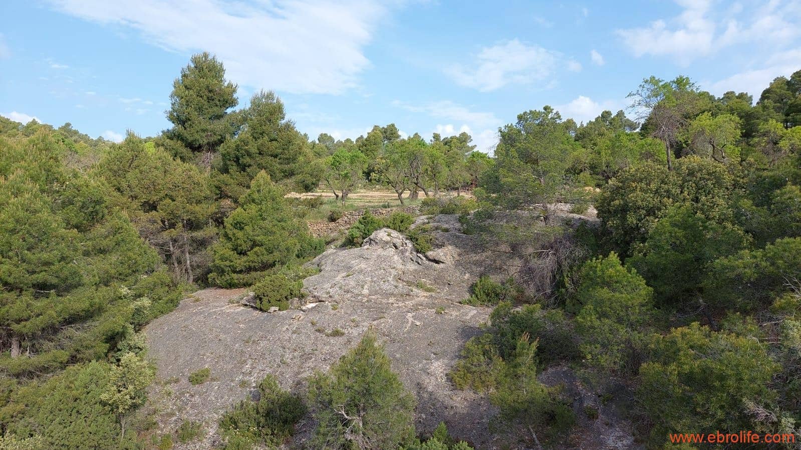 1 slaapkamer Finca/Landhuis te koop in Fuentespalda - € 149.000 (Ref: 6912575)