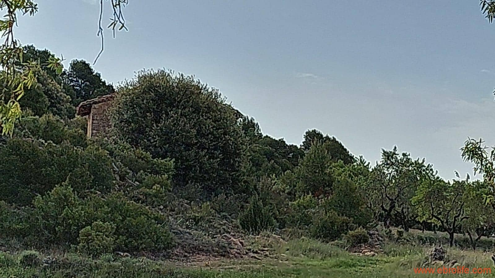 1 slaapkamer Finca/Landhuis te koop in Fuentespalda - € 149.000 (Ref: 6912575)