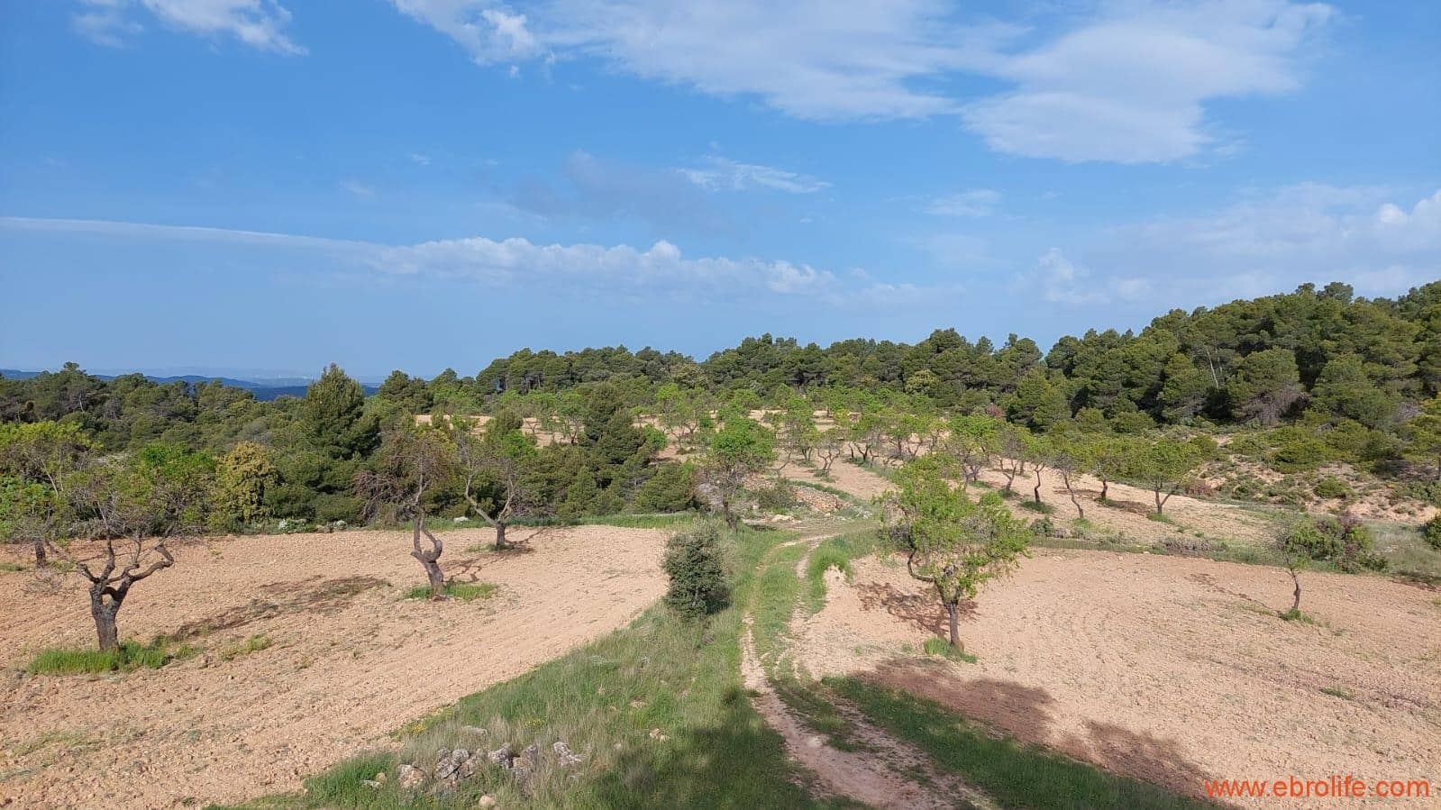 1 slaapkamer Finca/Landhuis te koop in Fuentespalda - € 149.000 (Ref: 6912575)