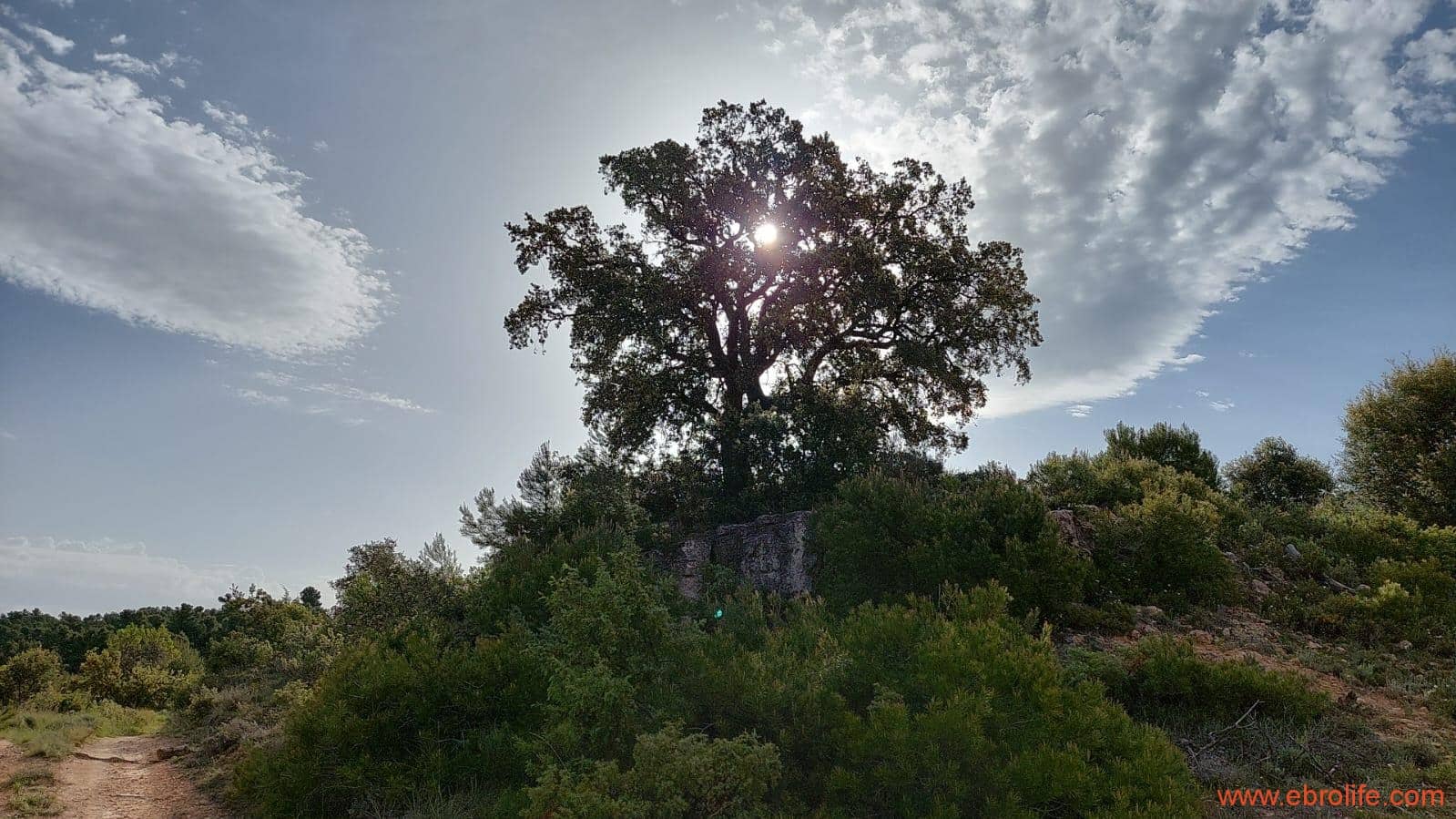 1 slaapkamer Finca/Landhuis te koop in Fuentespalda - € 149.000 (Ref: 6912575)