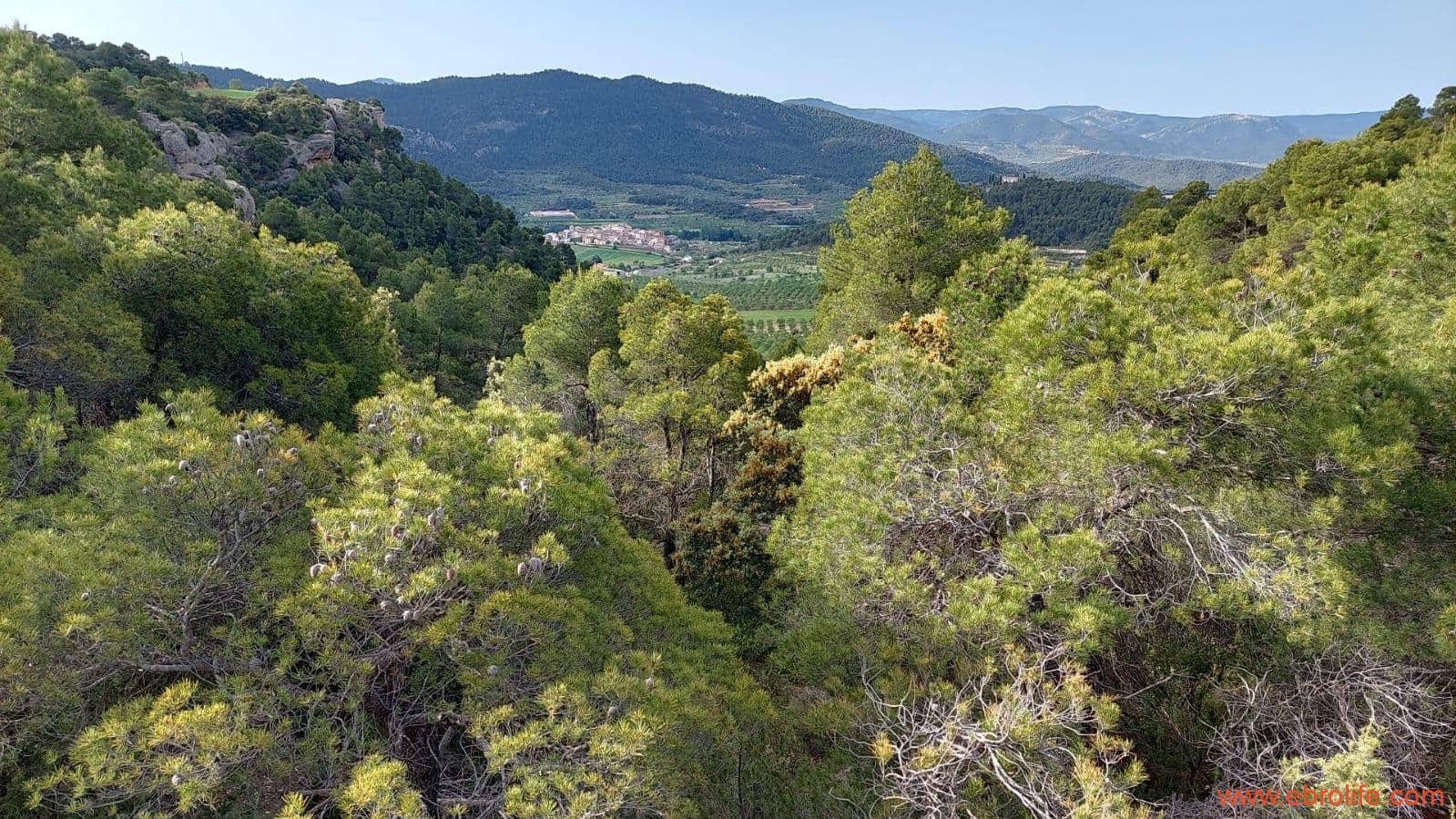 1 slaapkamer Finca/Landhuis te koop in Fuentespalda - € 149.000 (Ref: 6912575)