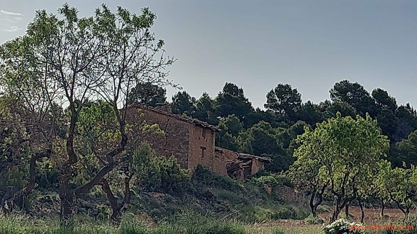 1 slaapkamer Finca/Landhuis te koop in Fuentespalda - € 149.000 (Ref: 6912575)