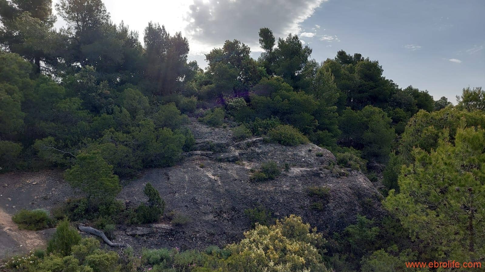 1 slaapkamer Finca/Landhuis te koop in Fuentespalda - € 149.000 (Ref: 6912575)