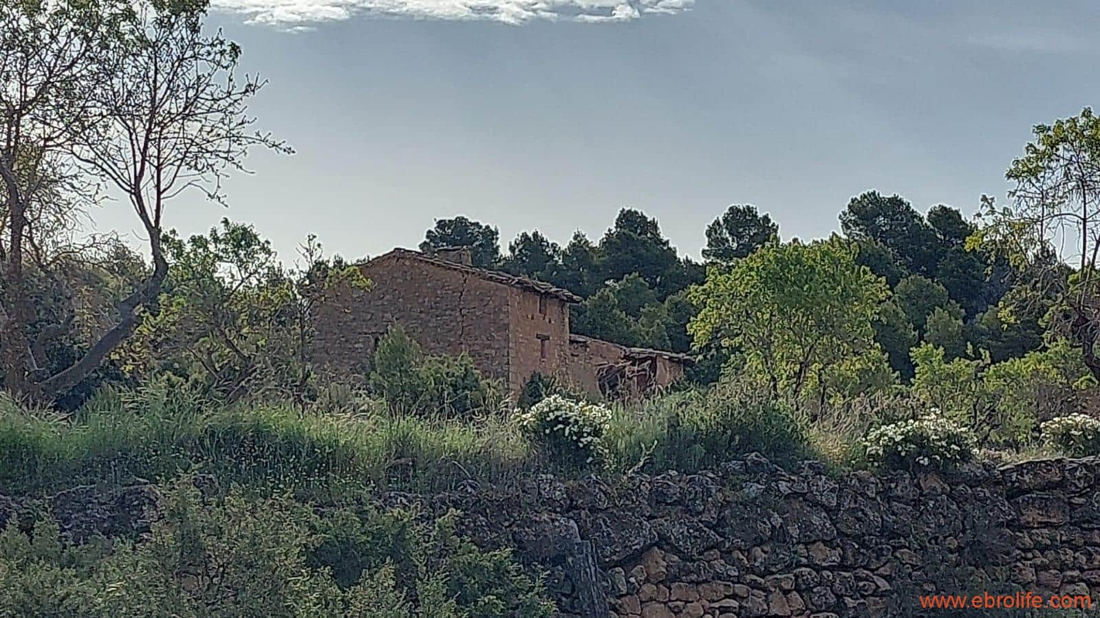 1 slaapkamer Finca/Landhuis te koop in Fuentespalda - € 149.000 (Ref: 6912575)