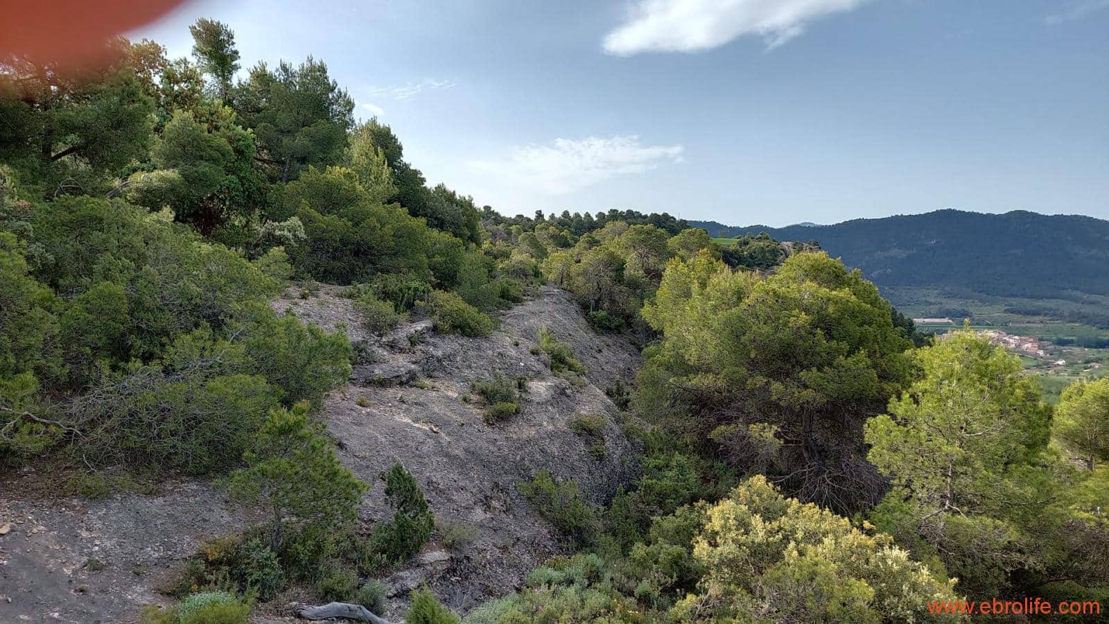 1 slaapkamer Finca/Landhuis te koop in Fuentespalda - € 149.000 (Ref: 6912575)