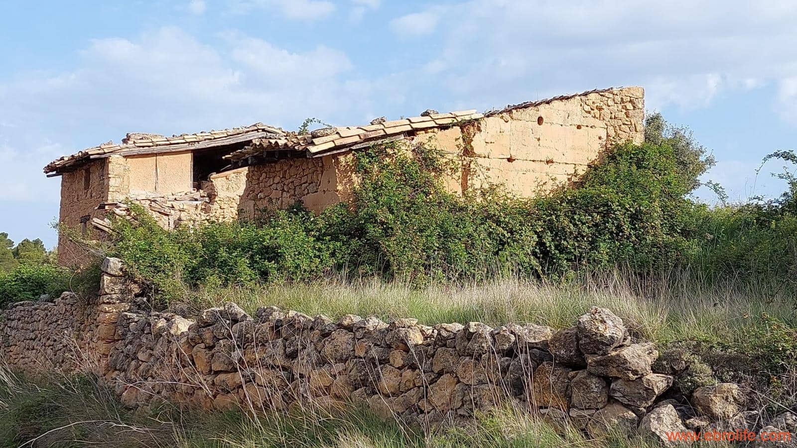 1 slaapkamer Finca/Landhuis te koop in Fuentespalda - € 149.000 (Ref: 6912575)