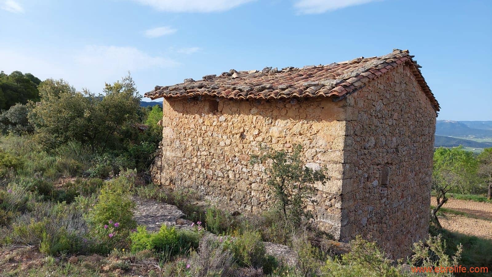 1 slaapkamer Finca/Landhuis te koop in Fuentespalda - € 149.000 (Ref: 6912575)
