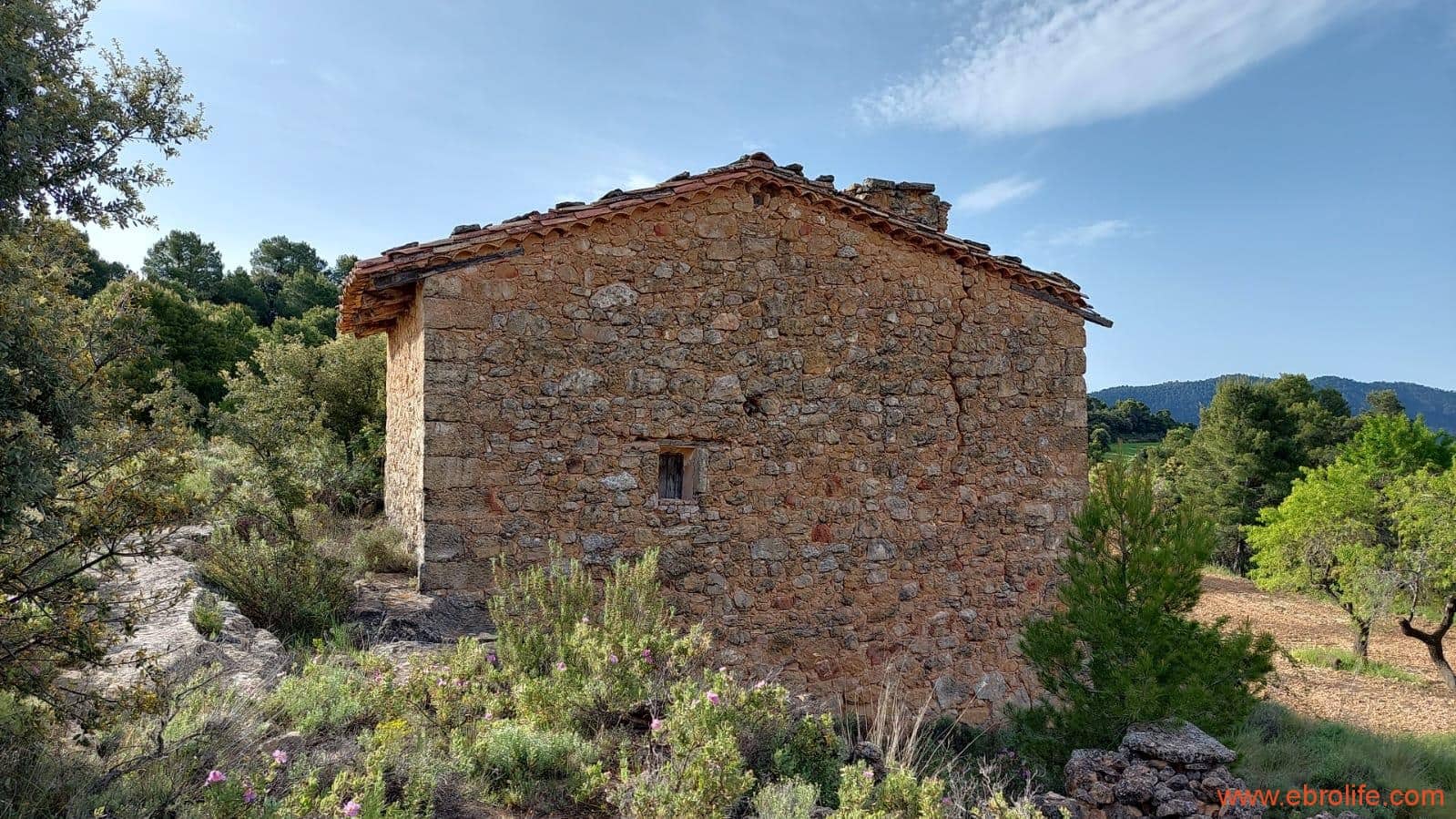 1 slaapkamer Finca/Landhuis te koop in Fuentespalda - € 149.000 (Ref: 6912575)