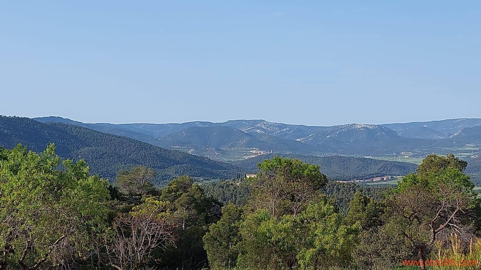 1 slaapkamer Finca/Landhuis te koop in Fuentespalda - € 149.000 (Ref: 6912575)