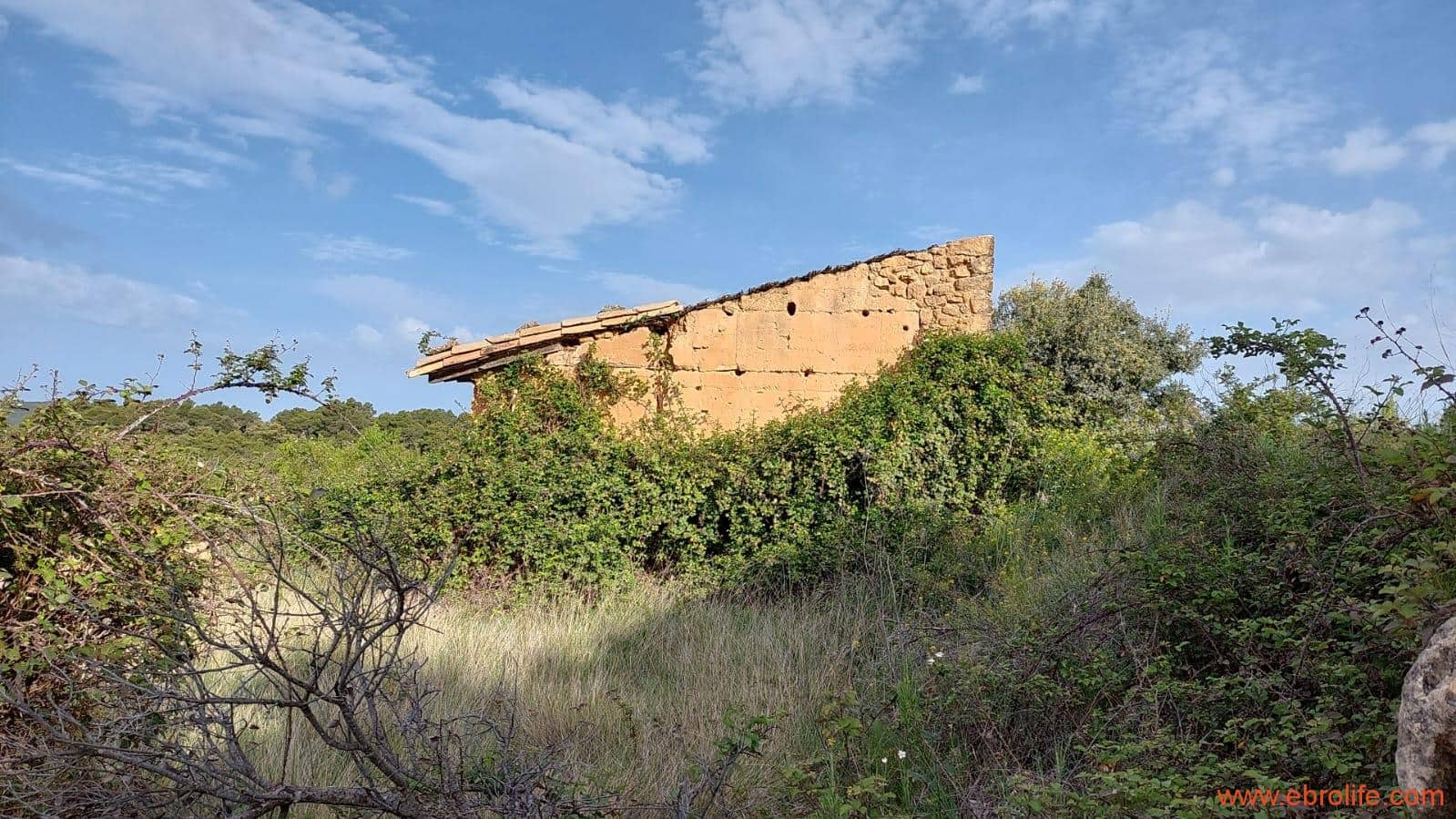 1 slaapkamer Finca/Landhuis te koop in Fuentespalda - € 149.000 (Ref: 6912575)