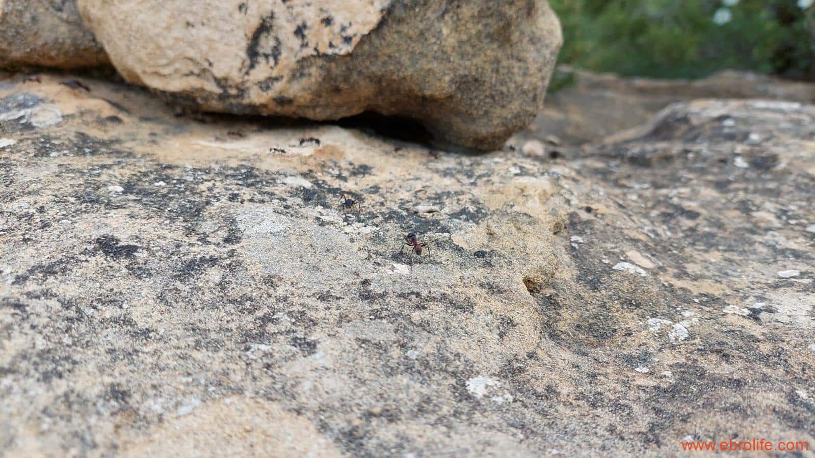 1 slaapkamer Finca/Landhuis te koop in Fuentespalda - € 149.000 (Ref: 6912575)